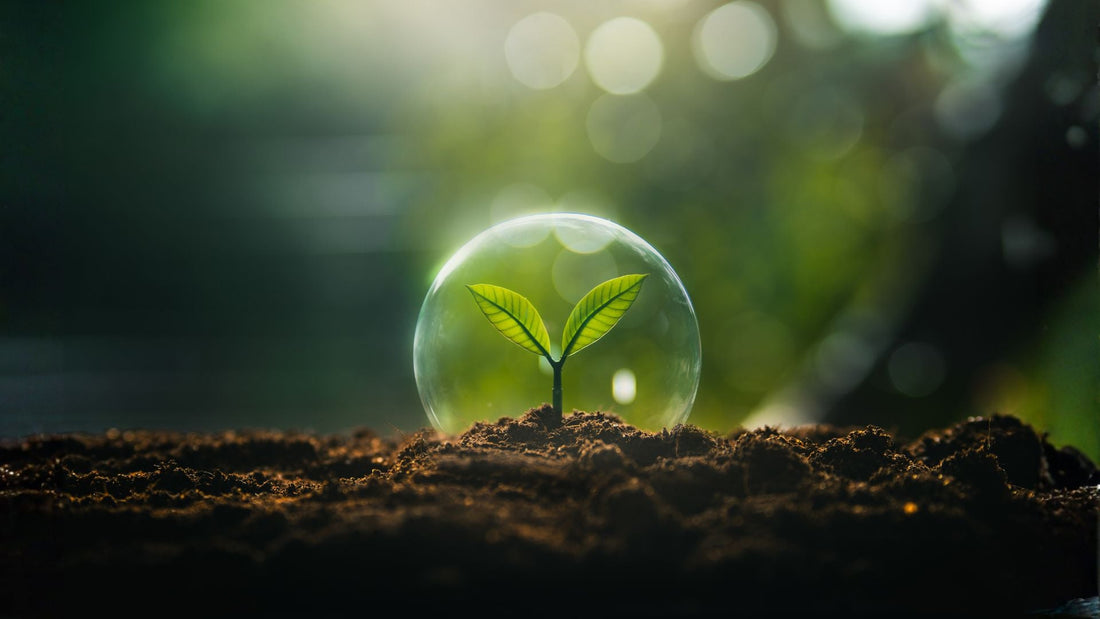 Sustainability & Responsibility